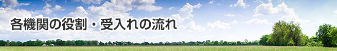 各機関の役割・受入れの流れ